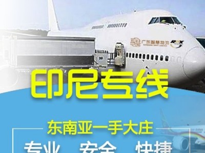 跳舞仙人掌从安徽滁州发到印尼海运散货拼箱整柜清关图1