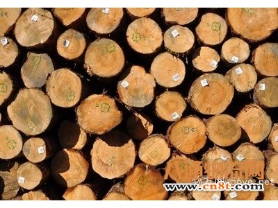进口木材到宁波港需要准备哪些单证