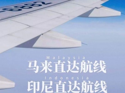 坚果油从广州发到印尼物流专线图1