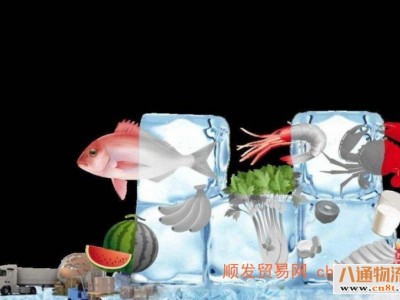 湛江到东营肉类和食品冷冻车物流202