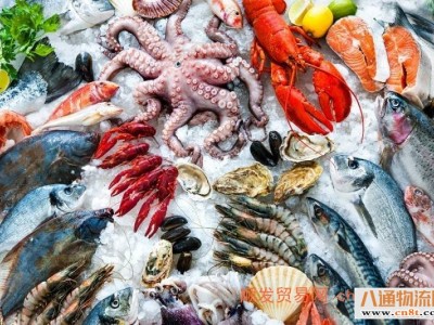 湛江到荥阳肉类和食品冷冻车物流202