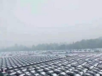 宁波到合肥汽车托运（2022）轿车托