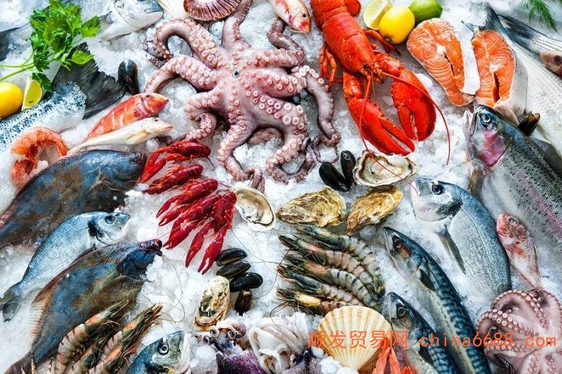 湛江到宁碘类和食品冷冻车物流2022已更新《省~市~县专线物流/定点送达》