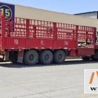 西安到廊坊货运专线 天天发车